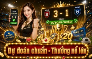 Thể Thao stitchedbyshir